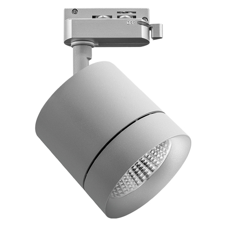 Светодиодный светильник Lightstar Canno 301292, LED 15W 3000K 960lm, серый, металл