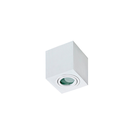 Потолочный светильник Azzardo Brant AZ2824, IP44, 1xGU10x50W, белый, металл